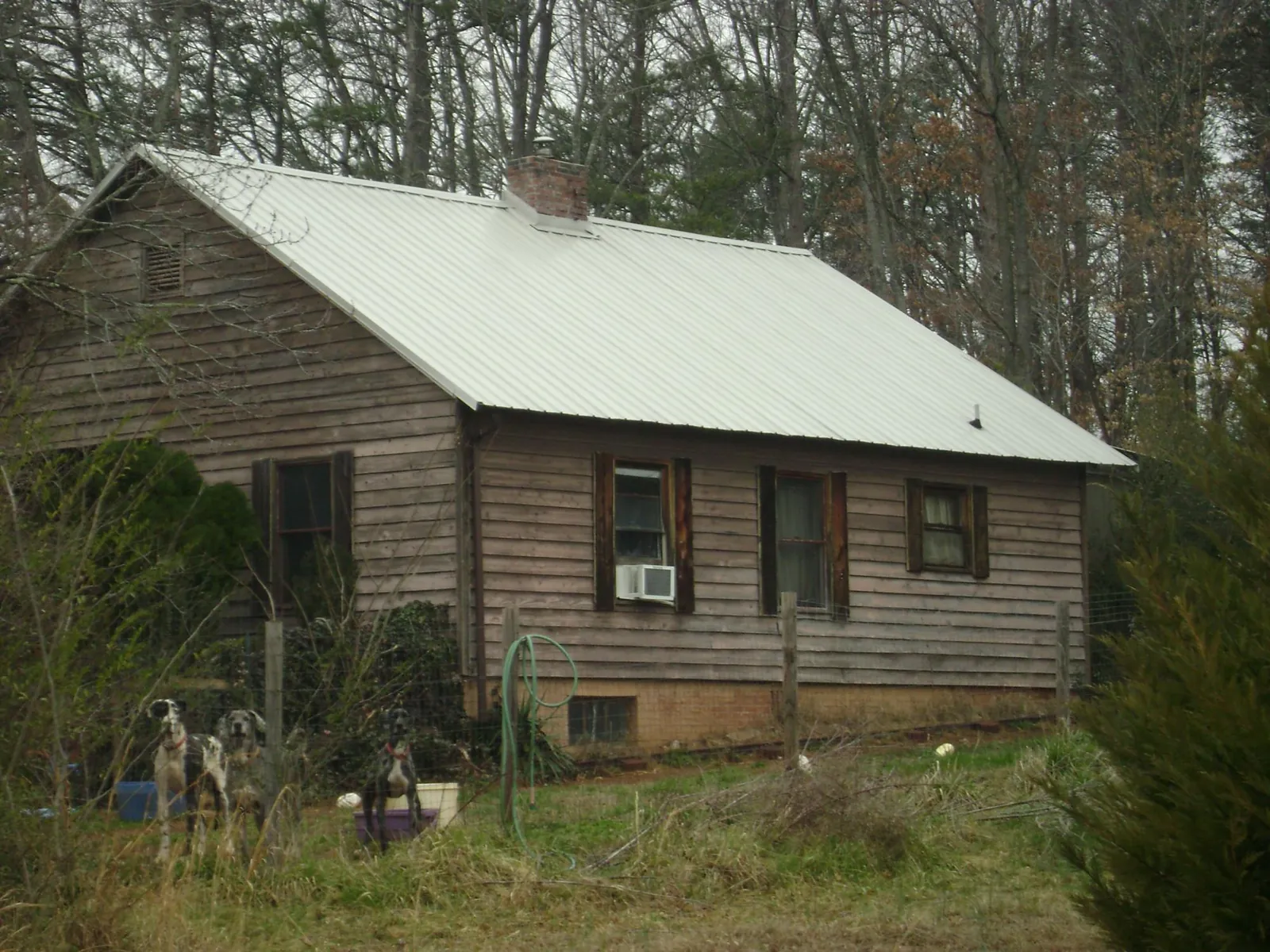 White metal roof on an old wood sided farmhouse, from a Asphalt Shingle Roof Repair job in Oysterville